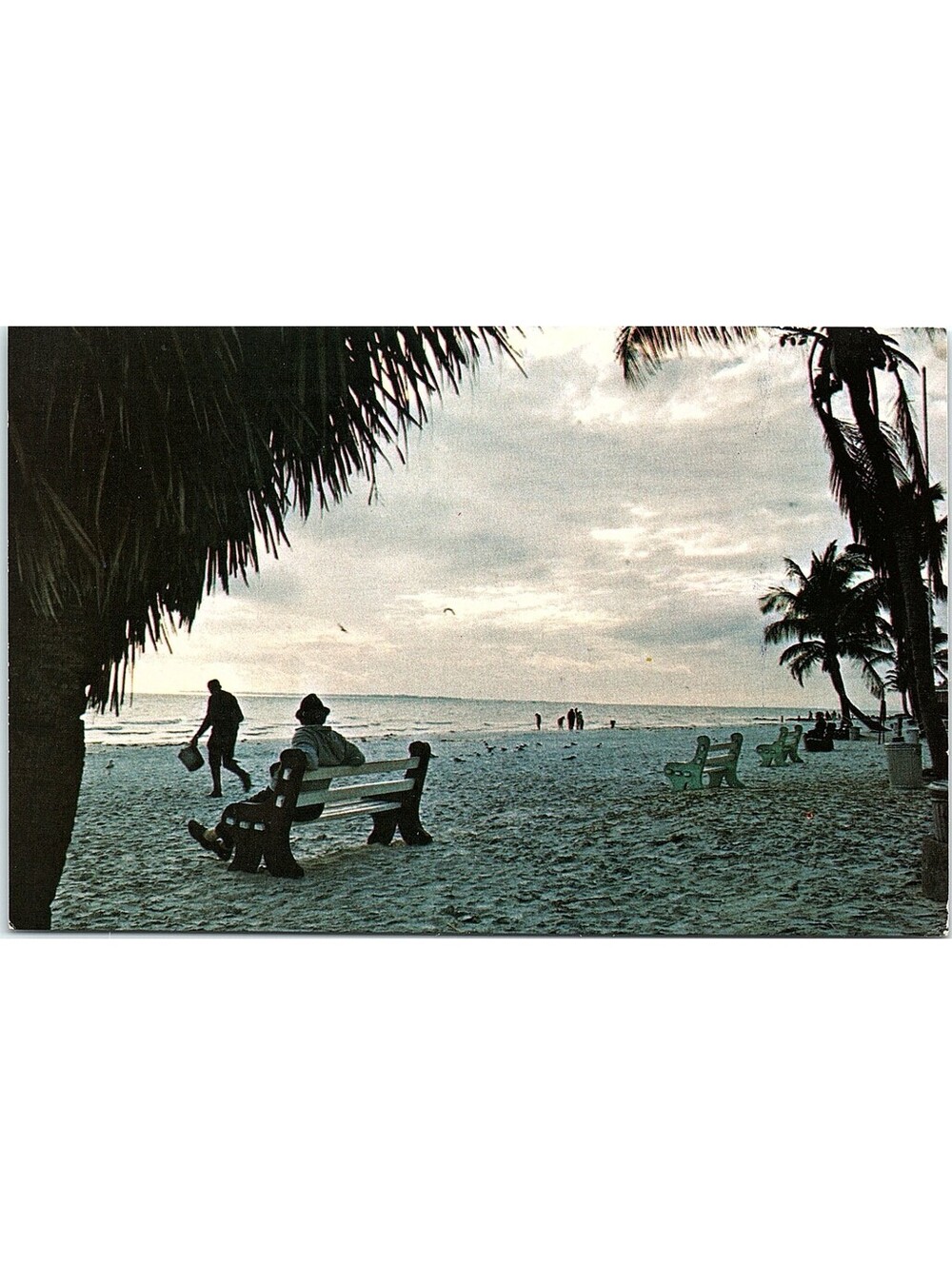 Vintage Postcard Beaches Sarasota Florida Alamo Rent A Car Advertisement